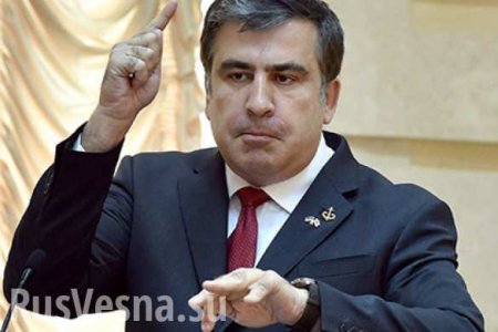 Саакашвили заявил, что его подпись в анкете на получение украинского гражданства подделана