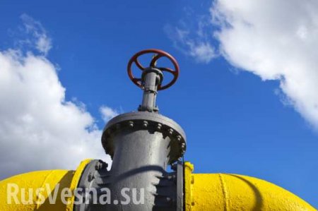 Украина теряет сотни миллионов из-за переброски российского газа в Германию