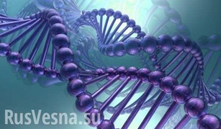 Воры генов: почему британские ученые изучают мнения россиян о ДНК
