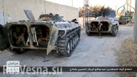«Аль-Каида» готова открыть «2-й фронт» в Хаме и облегчить положение ИГИЛ