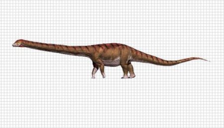 Размером с «Боинг»: Ученые обнаружили останки самого большого в мире динозавра