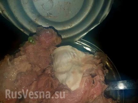 «Это просто дерьмо!»: Чем кормят солдат ВСУ (ФОТО)