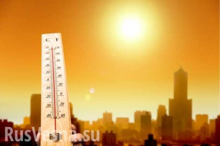 От жары в ЕС могут погибнуть более 150 тысяч человек к 2100 году