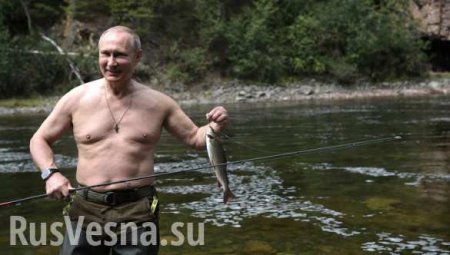 Для простых американцев Путин — классный мужик, с которым у них много общего, — The Guardian