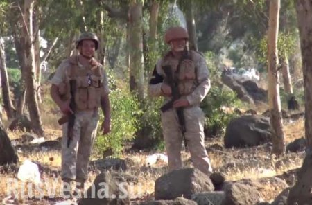 Уникальные кадры: Российские военные встретились с боевиками в сирийском Хомсе (ВИДЕО)