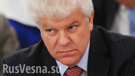 Благодаря ЕС из-под санкций вывели часть проектов с участием России, — Чижов