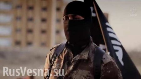 ВАЖНО: ИГИЛ взяло ответственность за резню в Сургуте