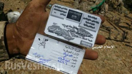 Кадры боёв: За 24 часа САА и «Хезболла» освободили от ИГИЛ 60 км? вдоль ливанской границы (ФОТО, ВИДЕО)