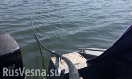 На Украине обнаружен подводный спиртопровод из Молдавии (ФОТО, ВИДЕО)