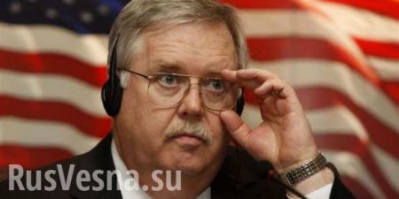 «Это не месть», — посол США объяснил приостановку выдачи виз россиянам (ВИДЕО)