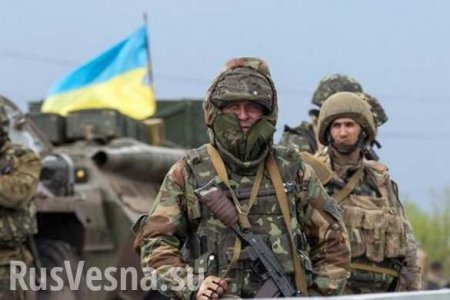 В народной милиции ЛНР сообщили «Русской Весне» о многочисленных нарушениях минских договоренностей со стороны ВСУ