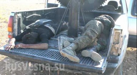 СРОЧНО: Спецназ уничтожил одного из главарей ИГИЛ, захватив сенсационные документы о связях ИГ с «Аль-Каидой» (ФОТО, ВИДЕО 18+)