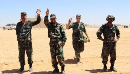 Минобороны РФ сообщило о ликвидации более 800 боевиков ИГ в Сирии