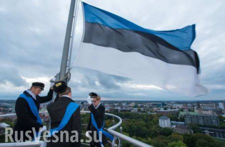 Всё стало ясно: Эстонию удалось охарактеризовать одним словом