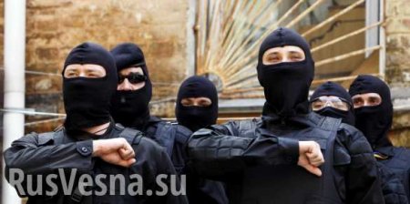 Под знаменем СС: смогут ли радикальные националисты взять власть на Украине (ФОТО)