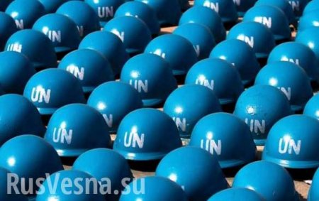 Правительство ФРГ приветствует предложение Путина о направлении миротворцев ООН в Донбасс