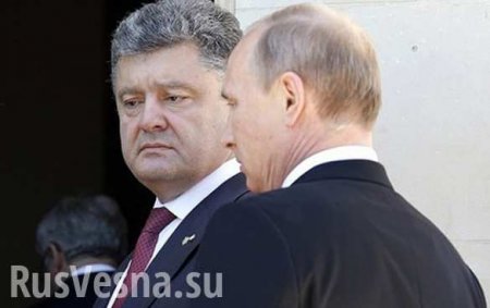 Порошенко выполняет приказы Путина, — Саакашвили (ВИДЕО)