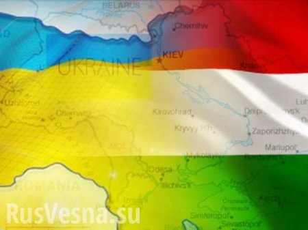 Венгрия пожаловалась ОБСЕ, ООН и ЕС на украинский закон об образовании
