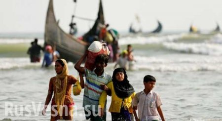 Индия ответила ООН на критику политики Дели в отношении рохинджа