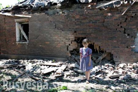 ООН озвучила общие потери на Донбассе