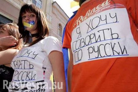 На Украине русский язык исключили из числа предметов, по которым можно сдавать выпускной экзамен
