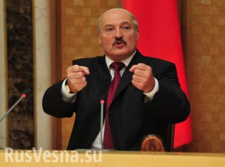 Лукашенко предложил «наклонить» тунеядцев