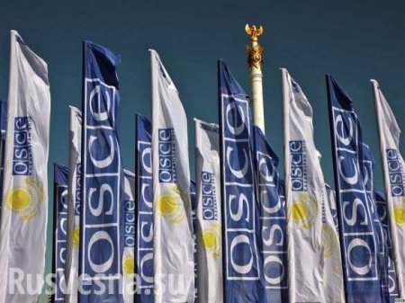 Четыре страны пожалуются на Украину в ОБСЕ