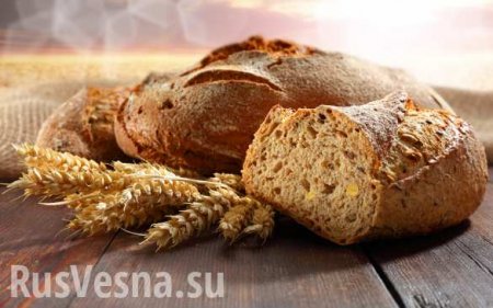 Хлеб вместо пушек: Россия побеждает в мировой «зерновой войне»