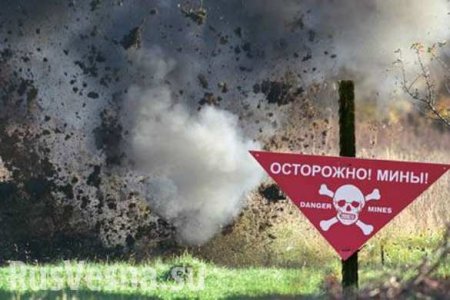 На Донбассе на минах подорвались 5,3 тыс. человек