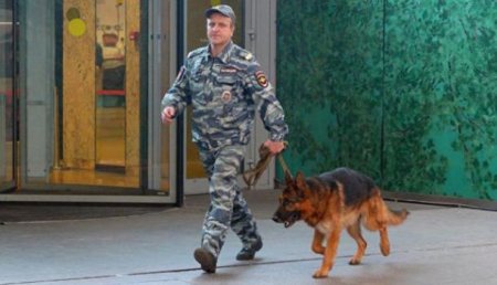 В Волгограде эвакуировали 13 000 человек из-за звонков о «минировании»
