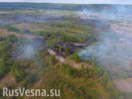 На Украине пятые сутки пытаются потушить торфяной пожар (ФОТО)