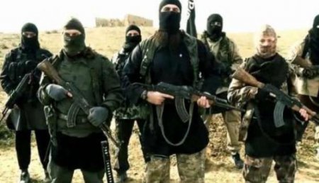 Видеоподтверждение сотрудничества США, курдов и боевиков ИГИЛ для противодействия Сирии и РФ