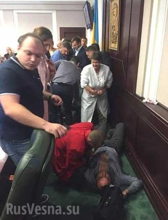 Депутат от Блока Порошенко во время драки отправил в нокаут коллегу от «Батькивщины» (ФОТО)