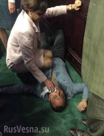 Депутат от Блока Порошенко во время драки отправил в нокаут коллегу от «Батькивщины» (ФОТО)