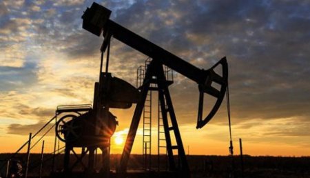 Нефть дорожает на данных о сокращении запасов в США