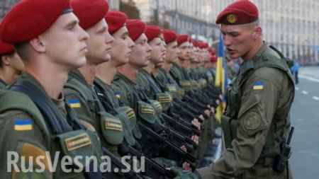 Украинских военных будут обучать нацгвардейцы США