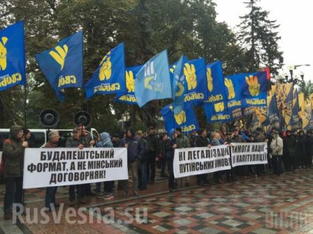 У здания Рады собираются неонацисты: депутаты принимают закон о реинтеграции Донбасса (ФОТО)