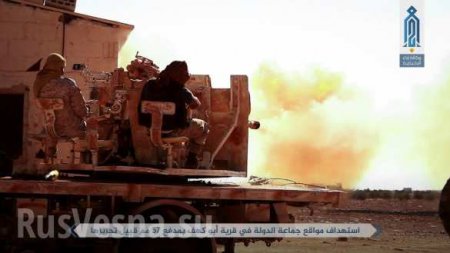 Кровавая бойня в Сирии: «Аль-Каида» вырезала банду ИГИЛ, усеяв пустыню трупами боевиков (ФОТО 18+)