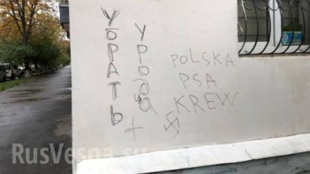 «Польская собачья кровь»: в Киеве осквернили мурал Иоанна Павла II (ФОТО)