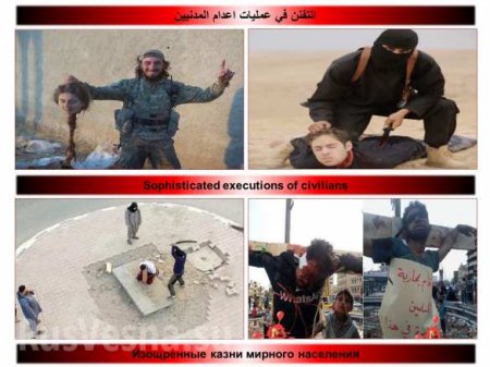 Чудовищные зверства боевиков в Сирии: Варварские казни, отрезание голов, убийства детей (+ВИДЕО, ФОТО 18+)