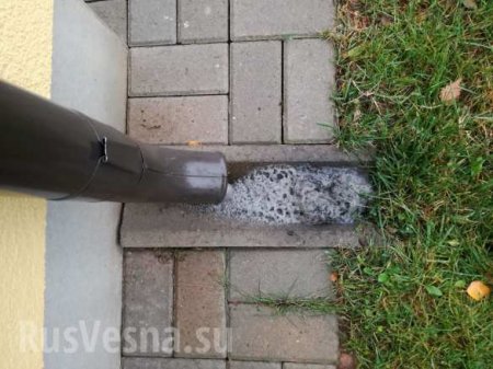 Знаки? В Эстонии прошел черный дождь (ФОТО)