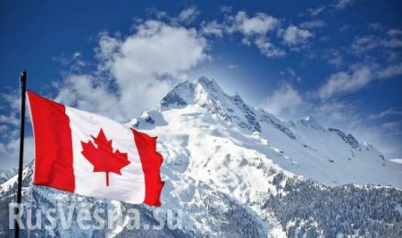 Почему я уехал из Канады: мнение не прижившегося