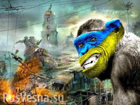 Как наказать Украину — мнение (ФОТО)
