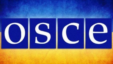 ОБСЕ не пустила крымских журналистов в Европу, но хочет проверить на месте