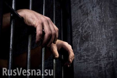 Суд приговорил 4-х «антимайдановцев» к тюремному заключению и тут же освободил по амнистии