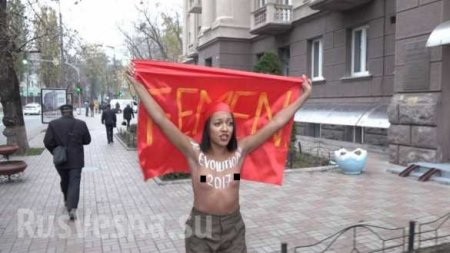 «Раздавим шоколадную гидру»: «активистка» Femen разделась в Киеве (ВИДЕО, ФОТО 18+)