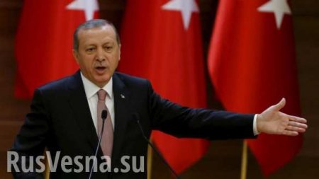 Эрдоган призвал США и Россию вывести свои войска из Сирии