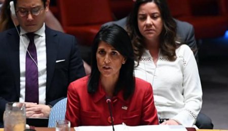 Эксперт уличил постпреда США в ООН во лжи