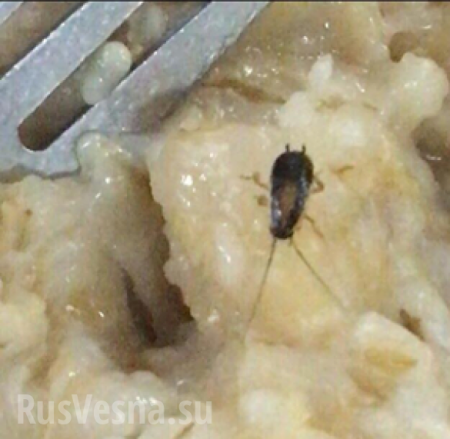 Скандал: будущих украинских военных летчиков кормили червяками и тараканами (ФОТО)