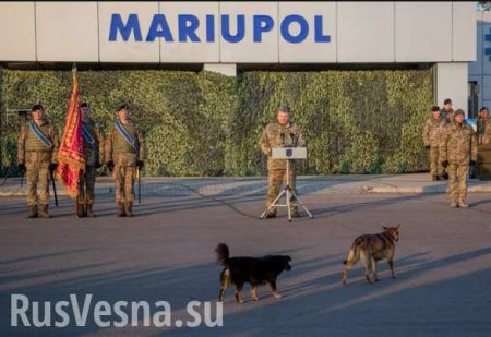 «Шарики и Швондер»: Сеть взрывают кадры с собаками, пришедшими послушать речь Порошенко (ФОТО, ВИДЕО)